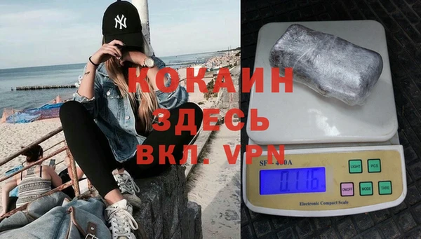 СК Алексин