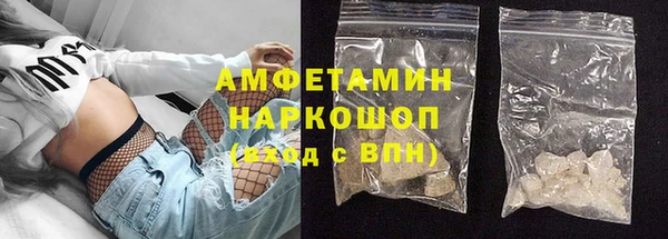 индика Абаза