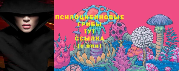 СК Алексин